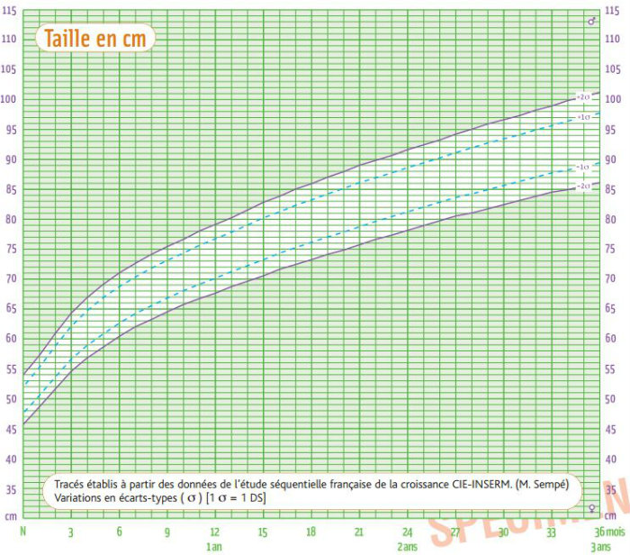 Courbe de croissance en taille des bbs