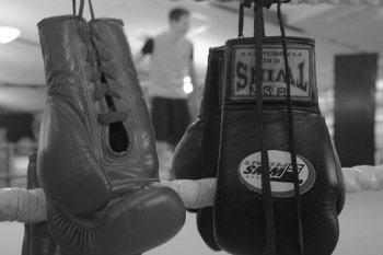 Taille gants de boxe