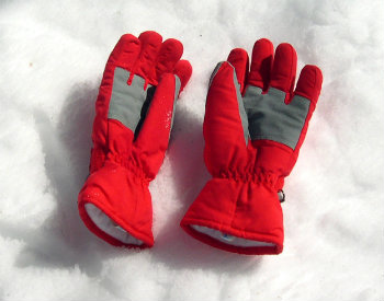 Taille des Gants de Ski